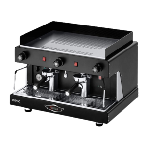 Wega Pegaso